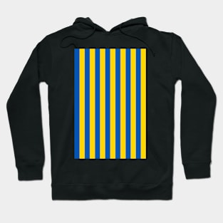 Ukraine Flag Colors - Gold and Azure Stripes Hoodie